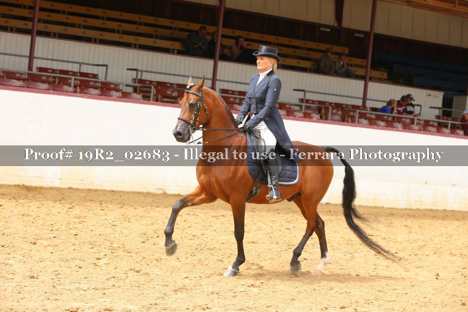 Proof 19R2_02683