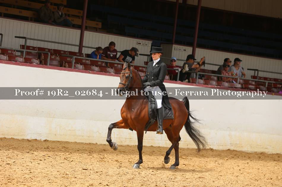 Proof 19R2_02684