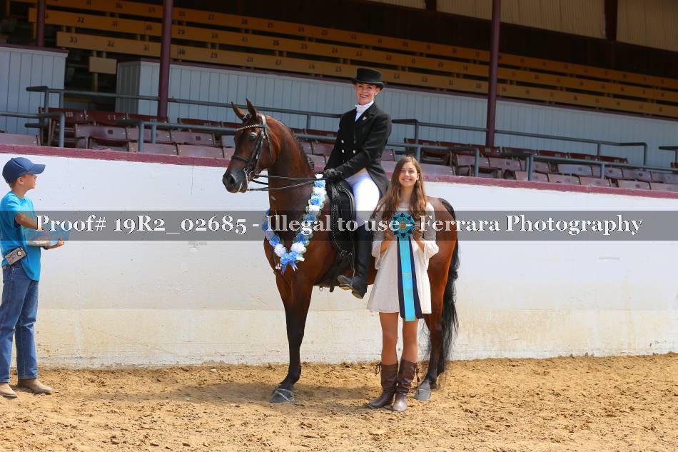 Proof 19R2_02685