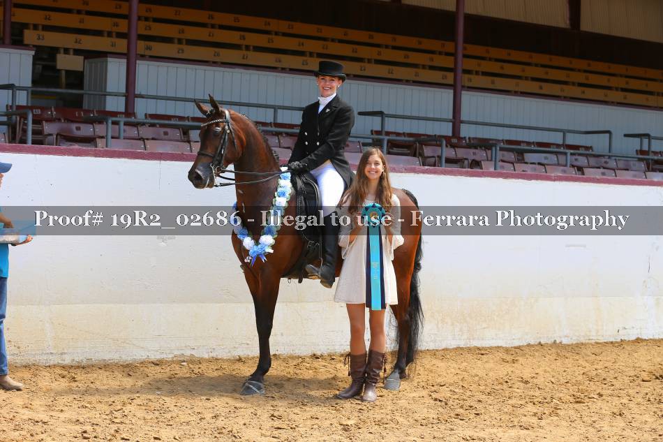 Proof 19R2_02686