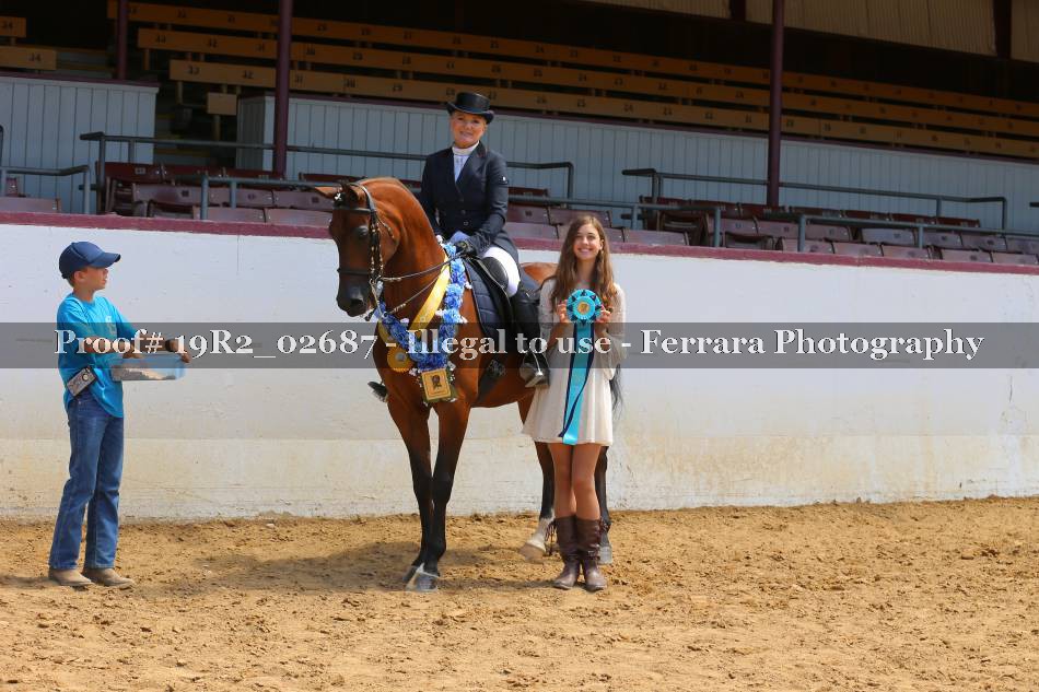Proof 19R2_02687