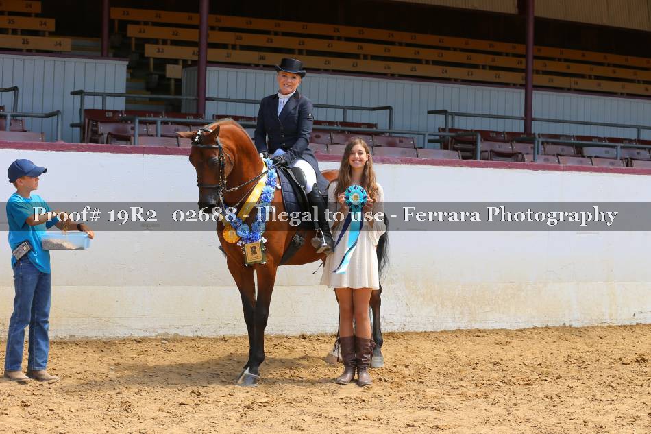Proof 19R2_02688