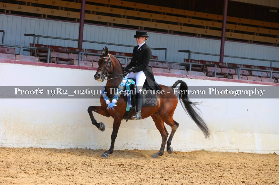 Proof 19R2_02690
