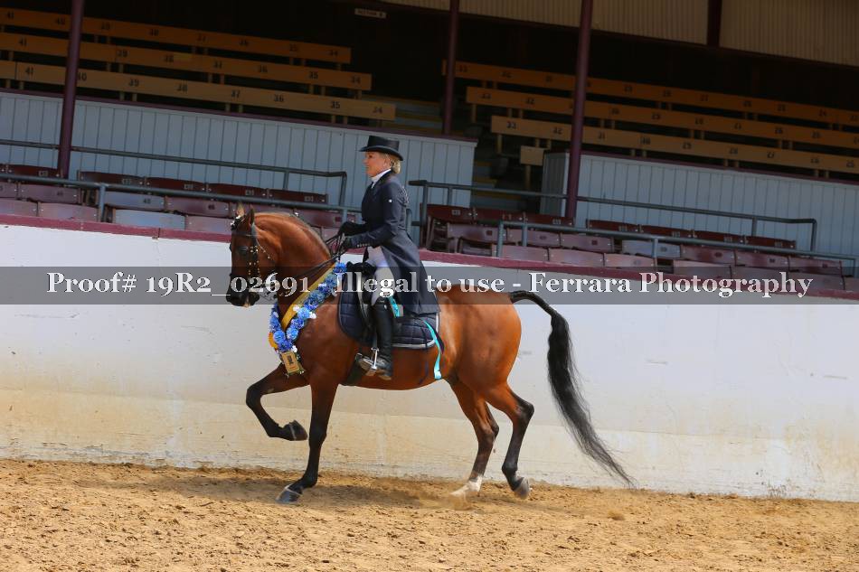 Proof 19R2_02691