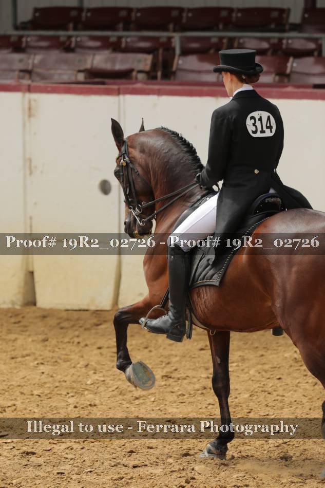 Proof 19R2_02726