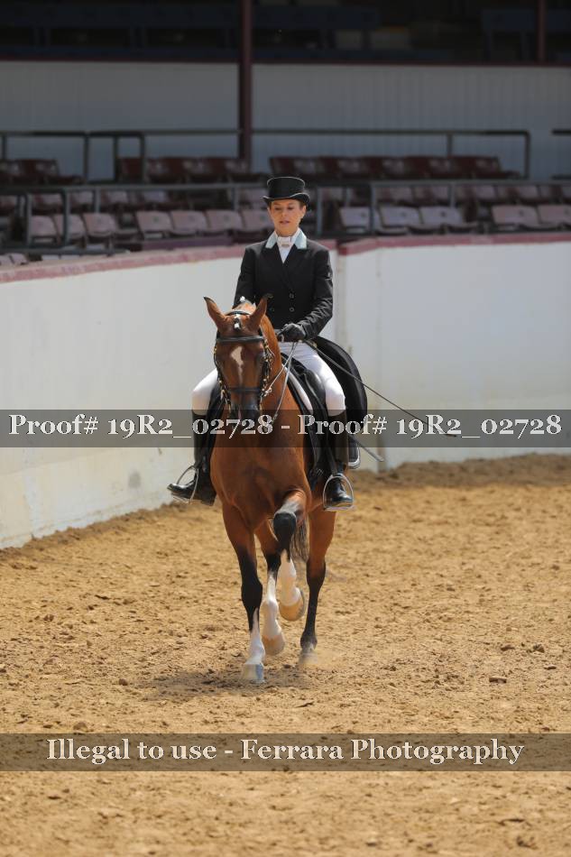 Proof 19R2_02728