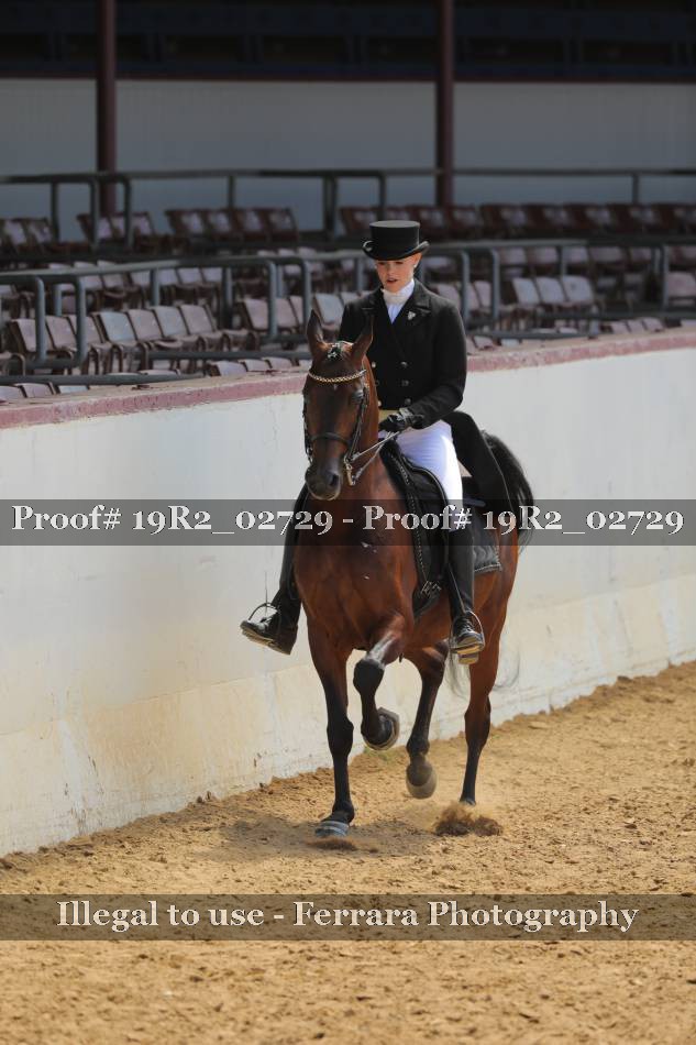 Proof 19R2_02729