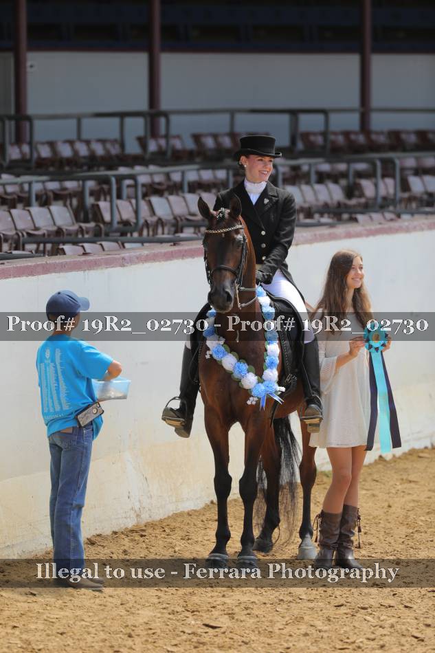 Proof 19R2_02730
