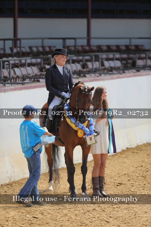 Proof 19R2_02732