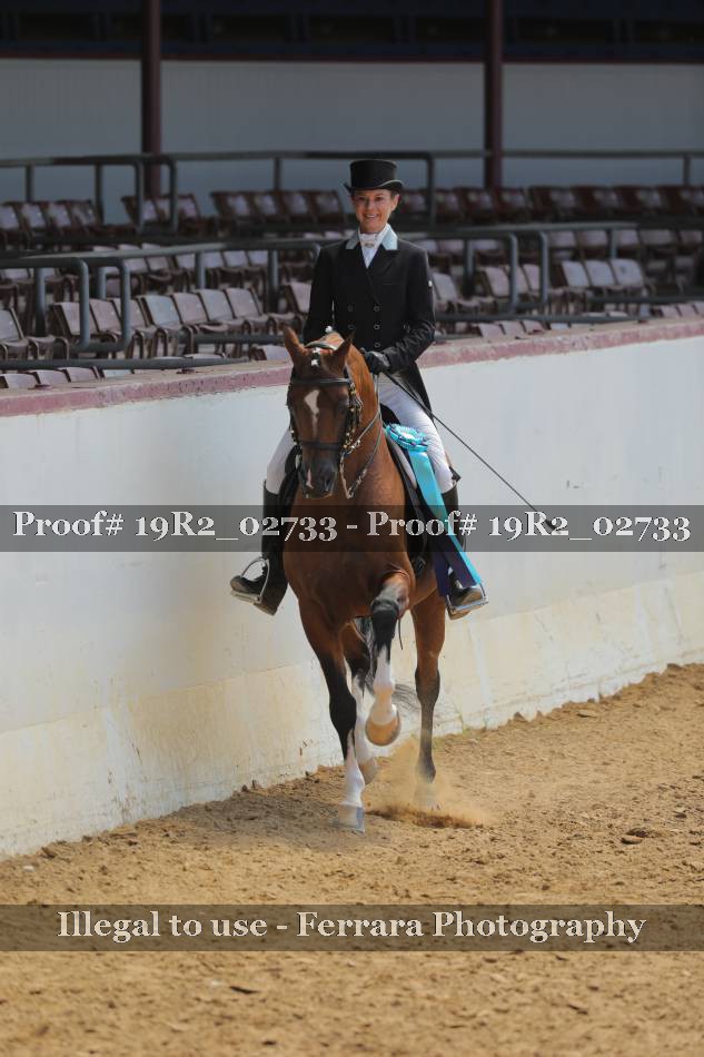 Proof 19R2_02733