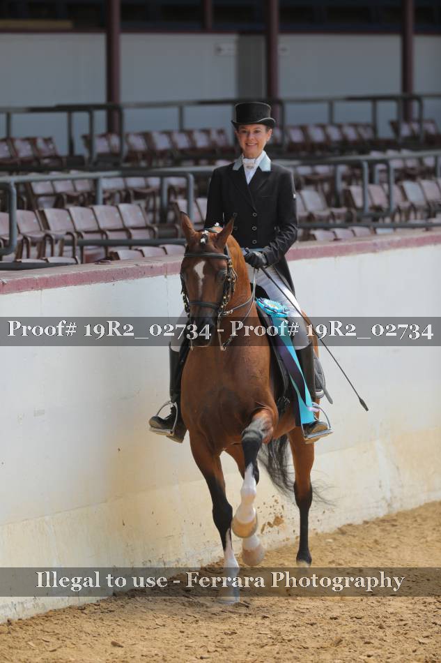 Proof 19R2_02734