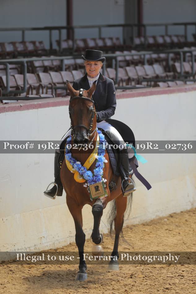 Proof 19R2_02736