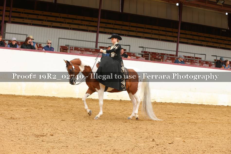 Proof 19R2_02740