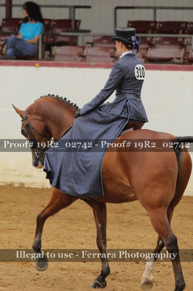 Proof 19R2_02742