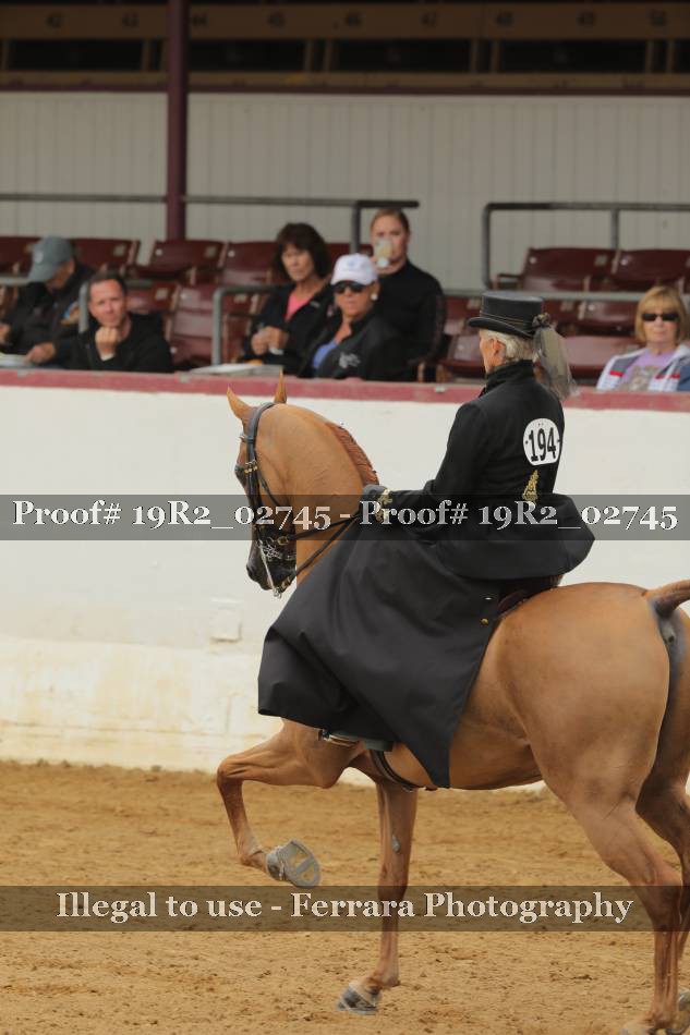Proof 19R2_02745