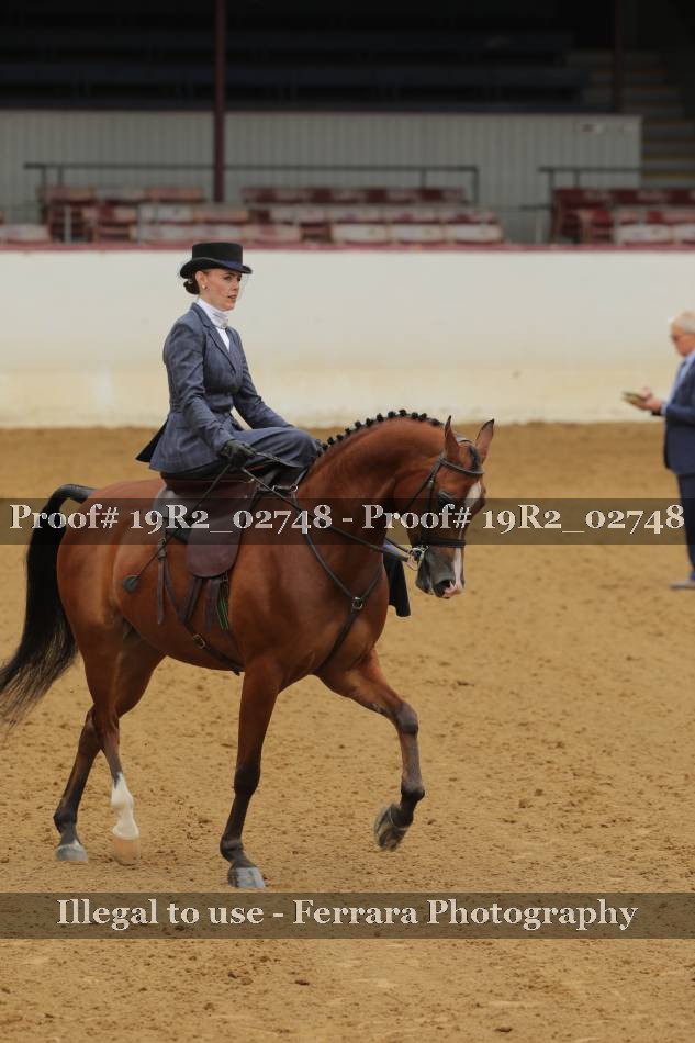 Proof 19R2_02748