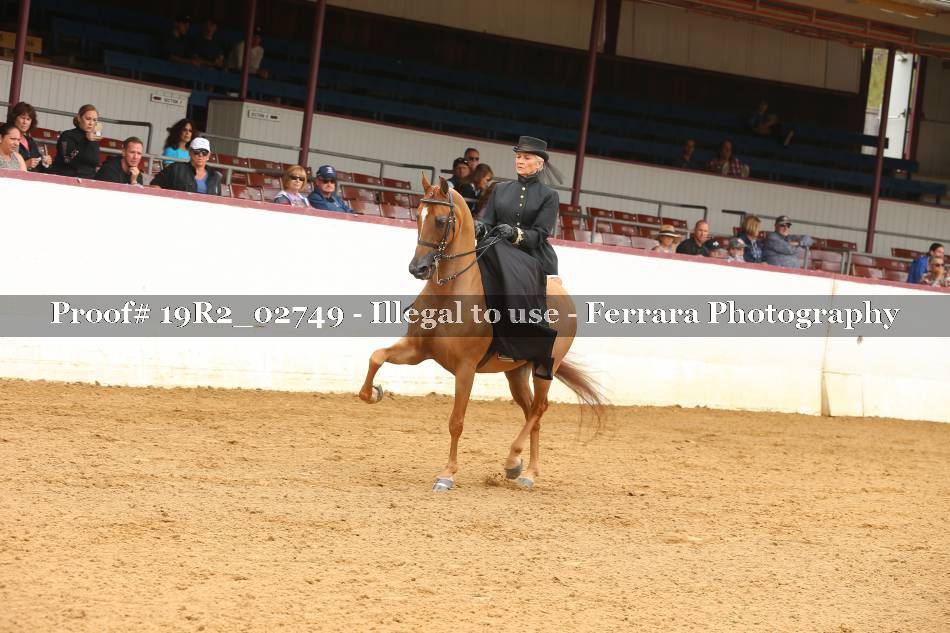 Proof 19R2_02749