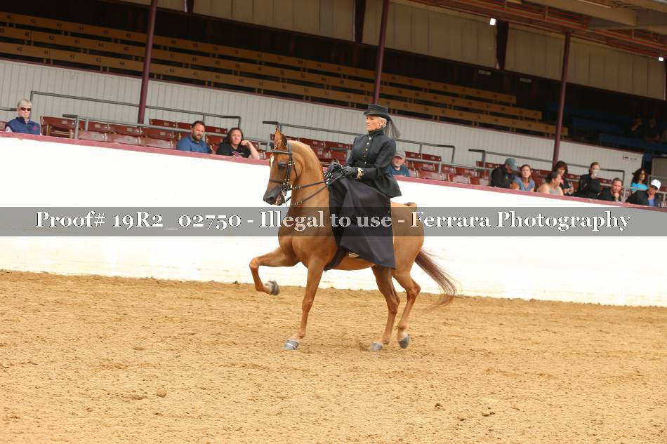 Proof 19R2_02750