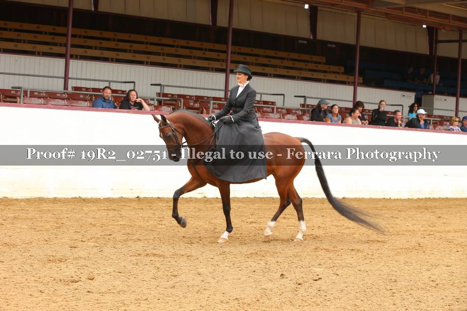 Proof 19R2_02751