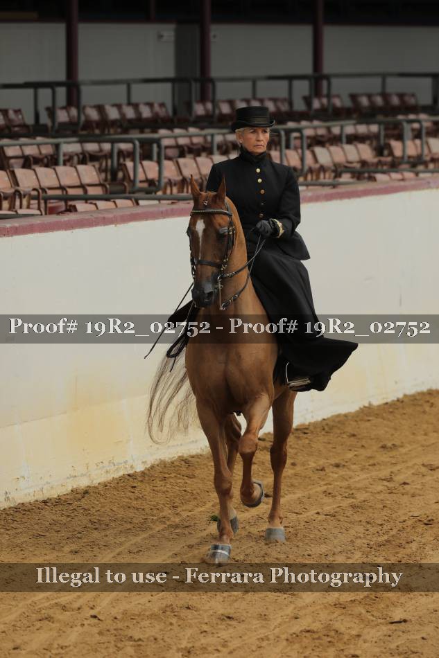 Proof 19R2_02752