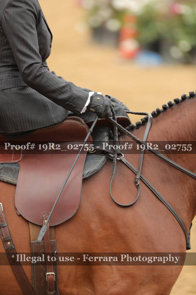 Proof 19R2_02755