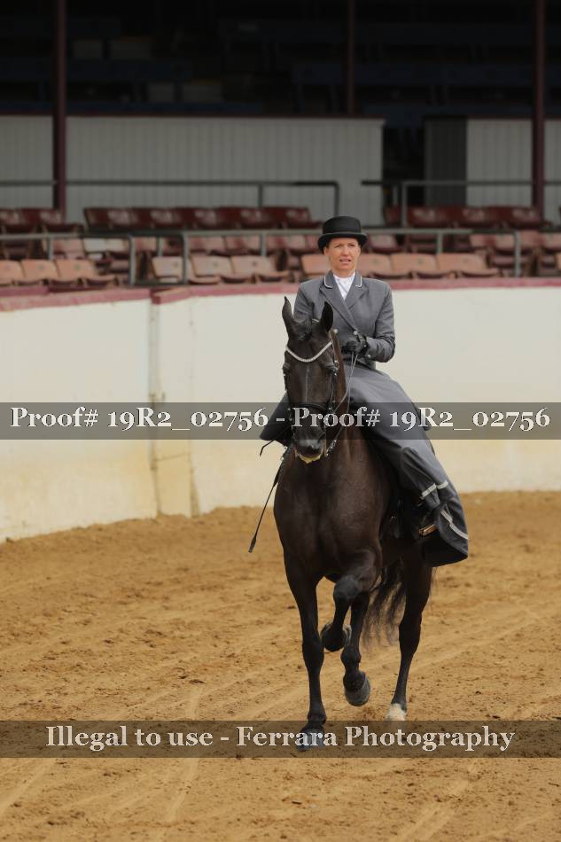 Proof 19R2_02756