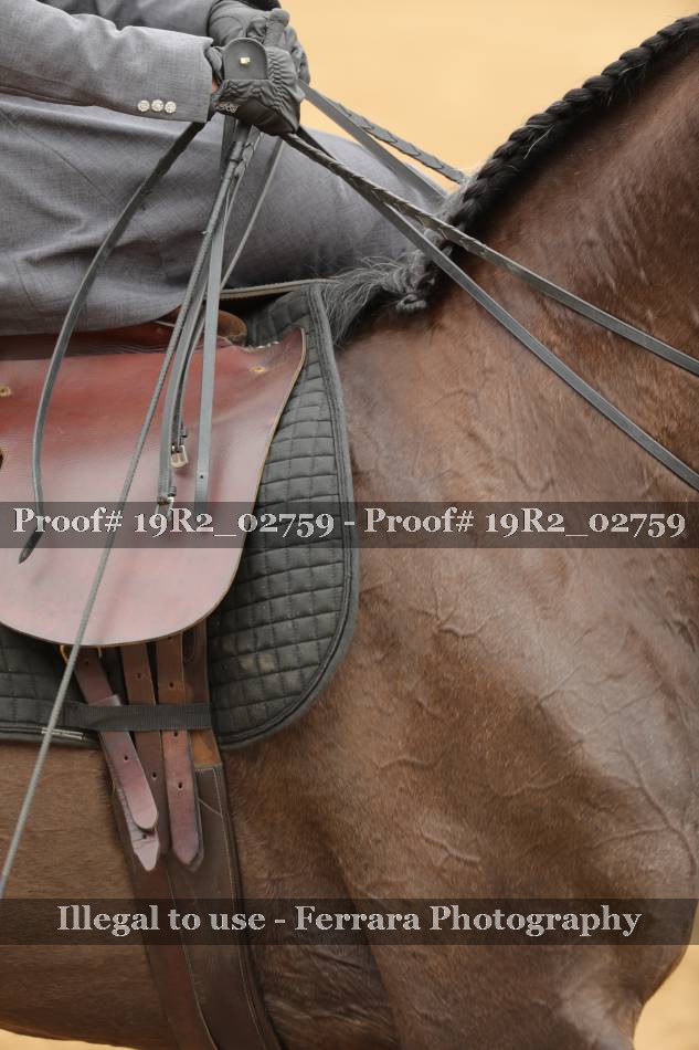Proof 19R2_02759