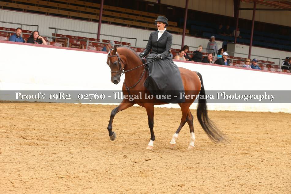 Proof 19R2_02760