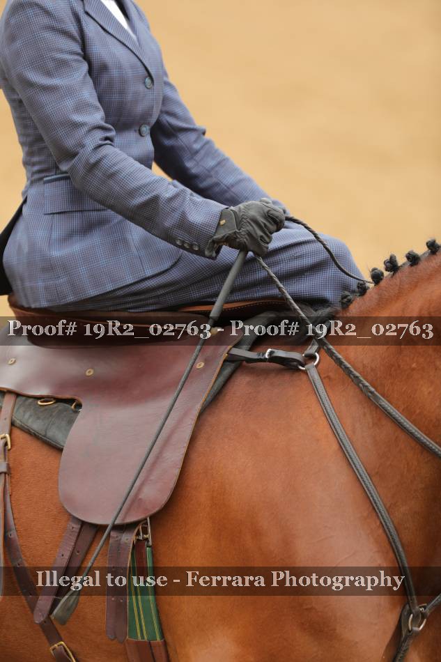 Proof 19R2_02763