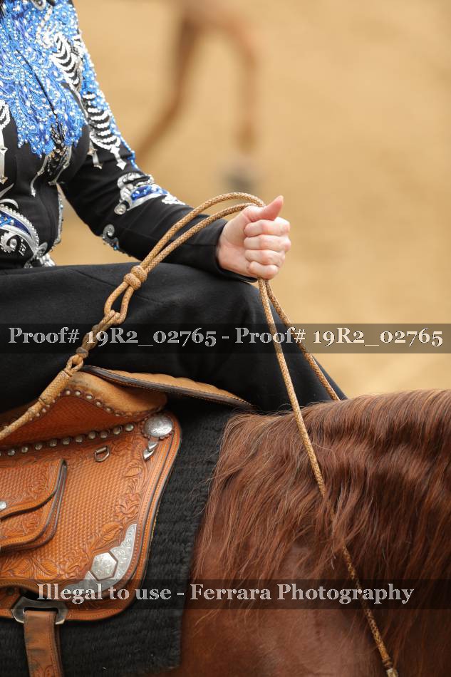 Proof 19R2_02765