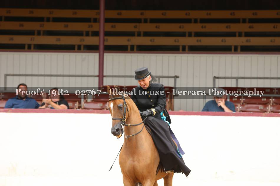 Proof 19R2_02767