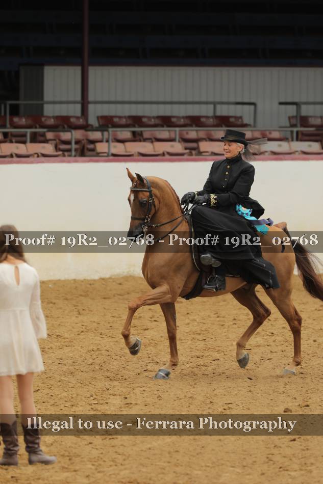 Proof 19R2_02768