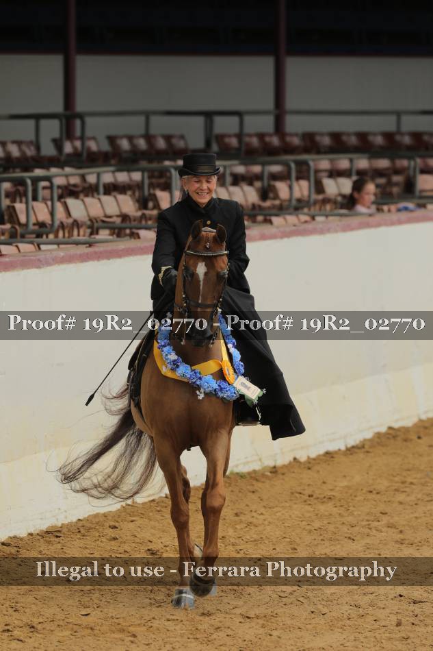 Proof 19R2_02770