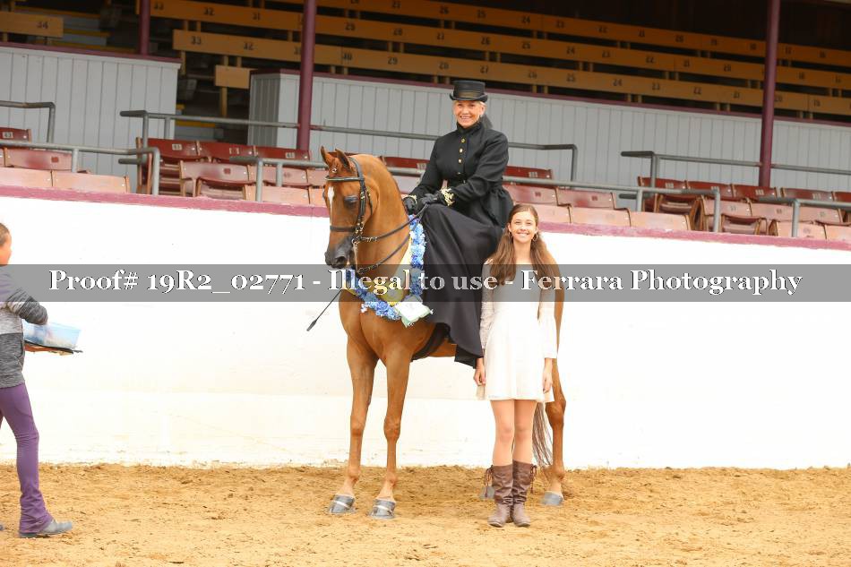 Proof 19R2_02771