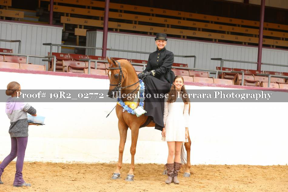 Proof 19R2_02772