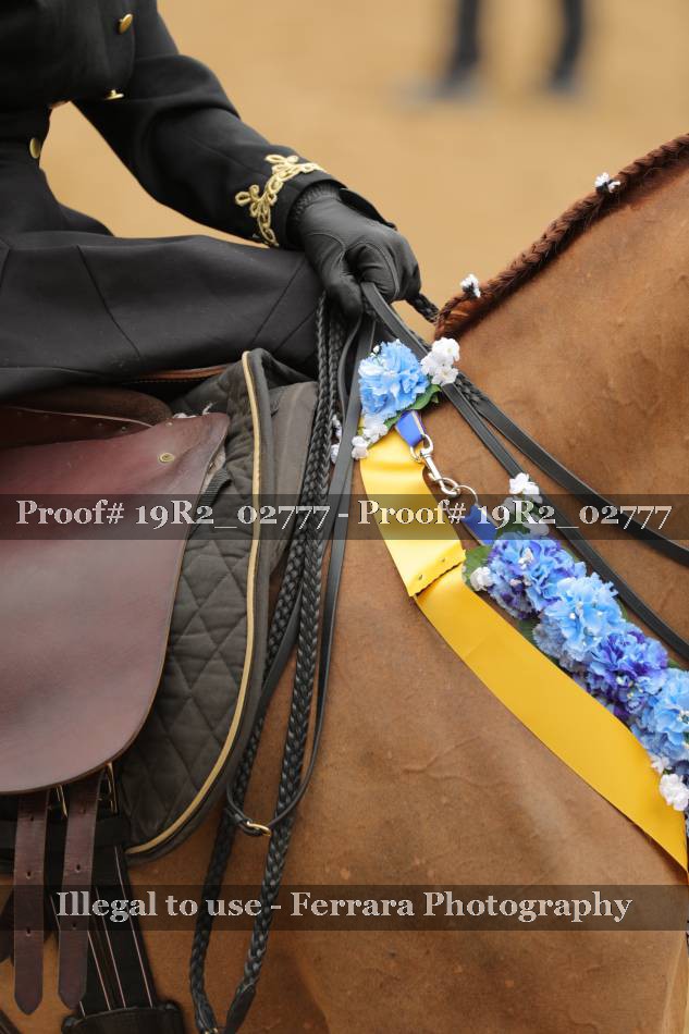 Proof 19R2_02777