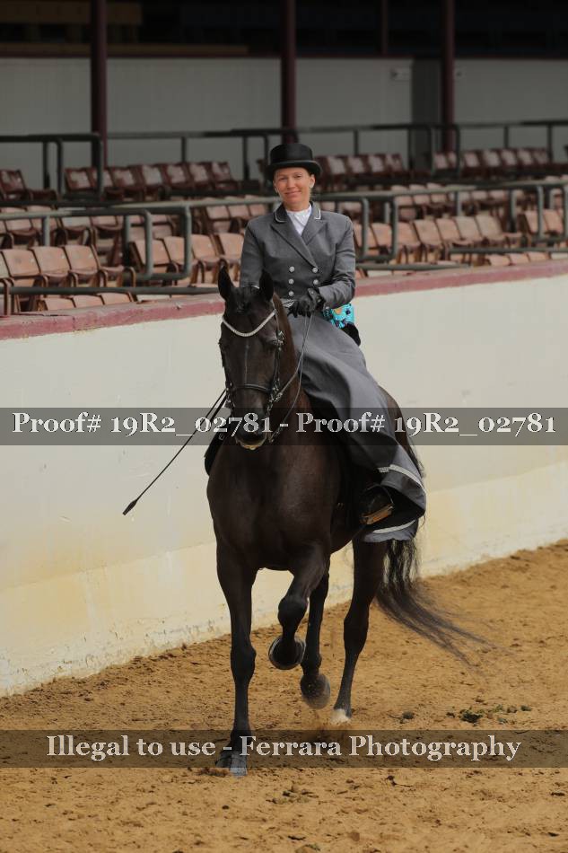 Proof 19R2_02781