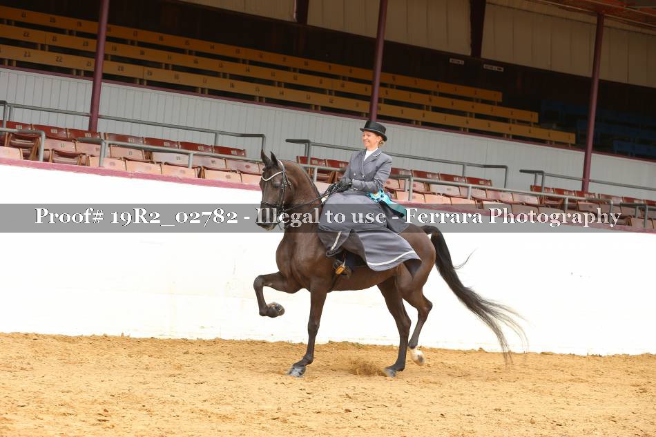Proof 19R2_02782