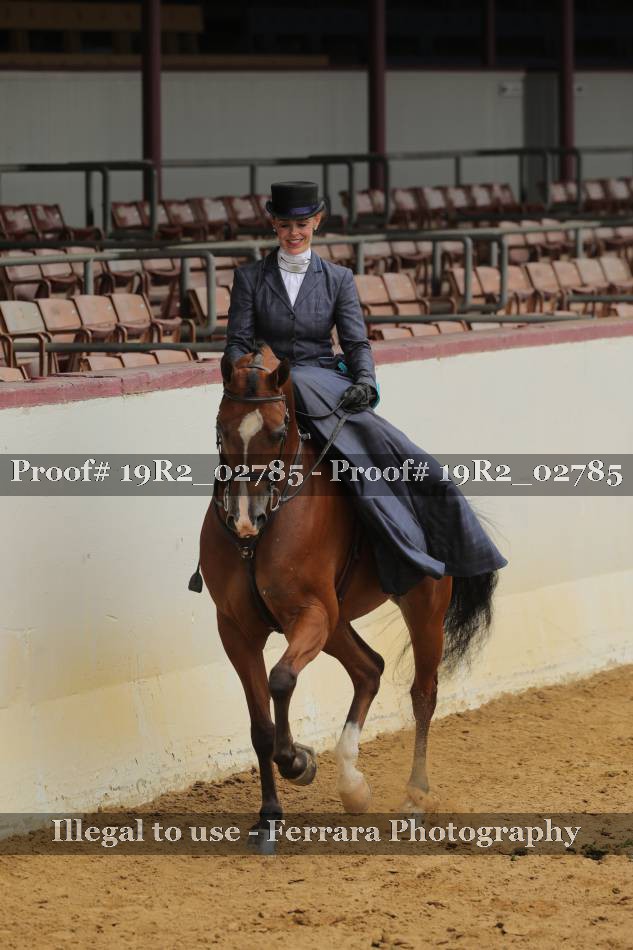 Proof 19R2_02785