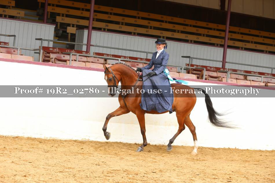 Proof 19R2_02786