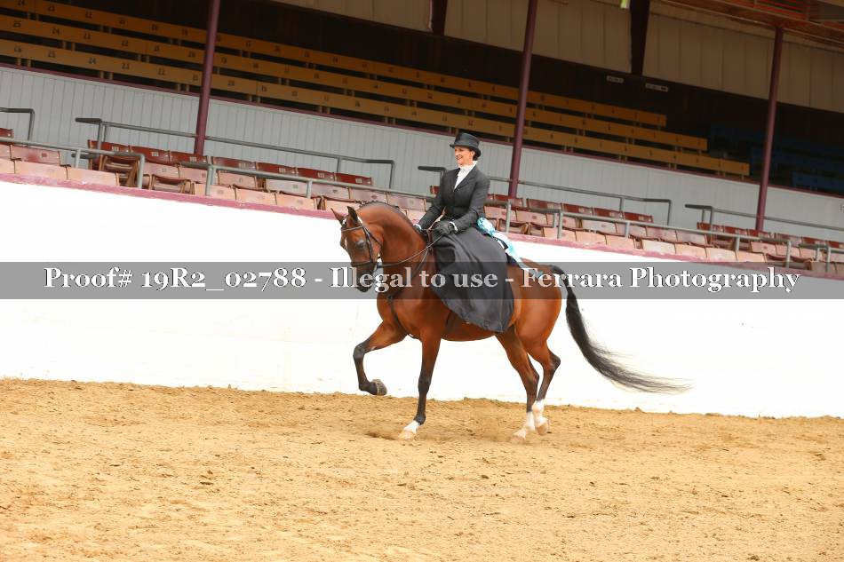 Proof 19R2_02788