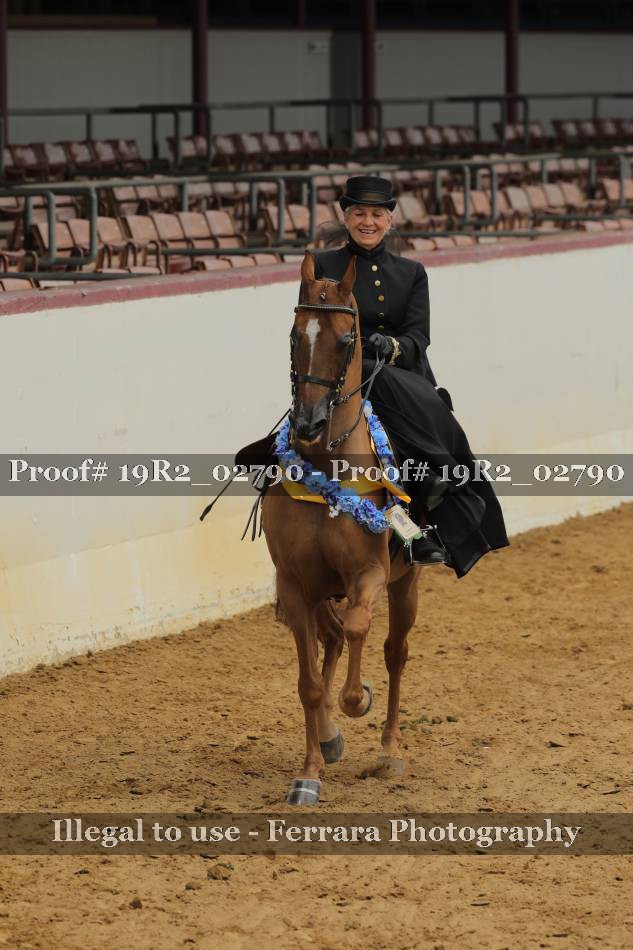 Proof 19R2_02790