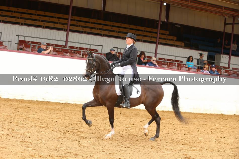 Proof 19R2_02802