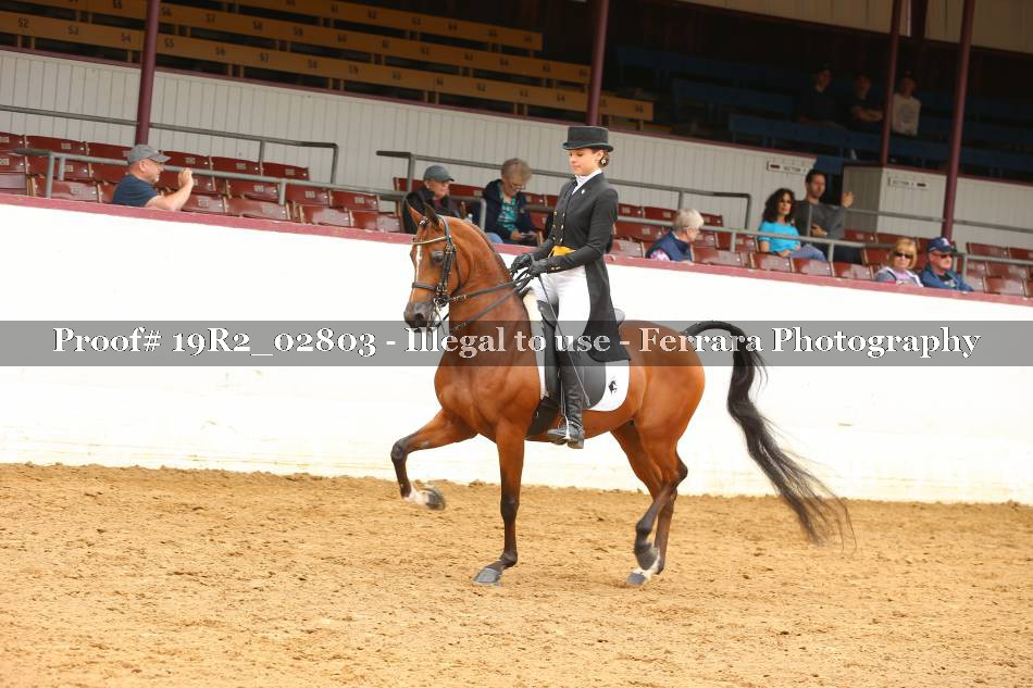 Proof 19R2_02803