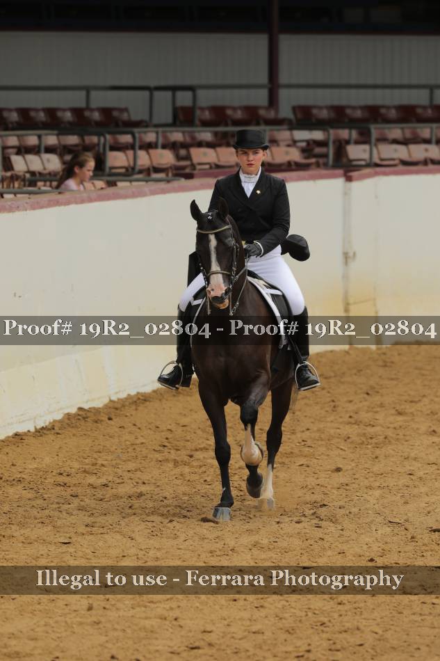Proof 19R2_02804