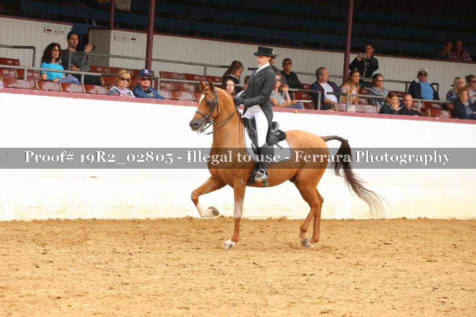 Proof 19R2_02805