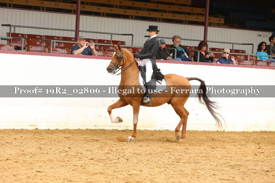 Proof 19R2_02806