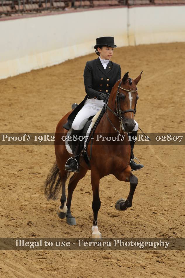 Proof 19R2_02807