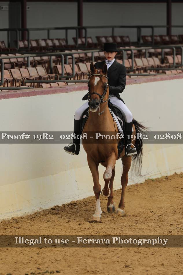 Proof 19R2_02808