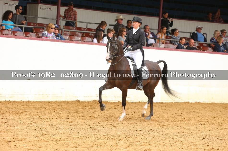 Proof 19R2_02809